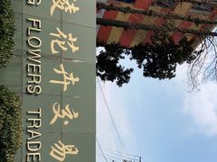 -金陵花卉交易市场