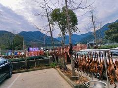 -听风阁农家私房菜茶楼(龙坞店)