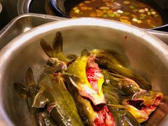 柴锅炖水库鱼-姥家大锅台水库渔家