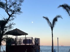 -西涌国际滨海旅游区