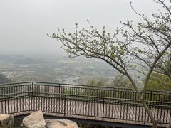 -浮槎山