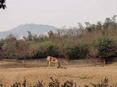 -杭州野生动物世界
