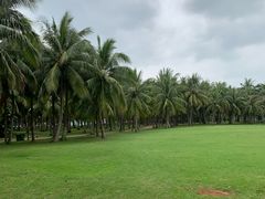 -白沙门生态公园