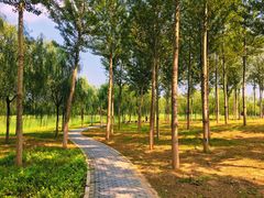-东郊湿地公园