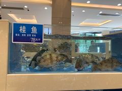 水产区-双井轩(双井店)