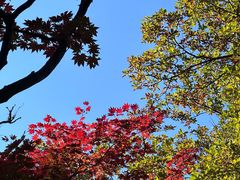 -九鼎铁刹山风景区