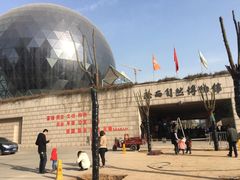 -陕西自然博物馆