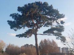 -长春公园(普阳街道)