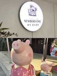 -臻康乃馨月子中心(集美店)