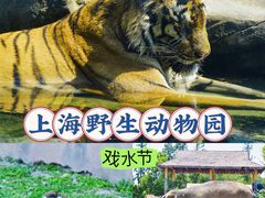 -上海野生动物园