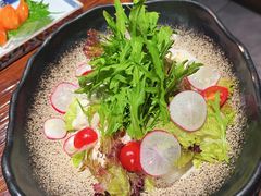 牛油果蔬菜沙拉-桥岚·巷子鲜河豚鱼(专门店)