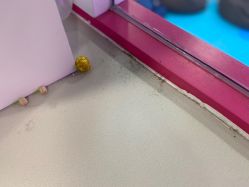 -万达宝贝王(漳州碧湖店)