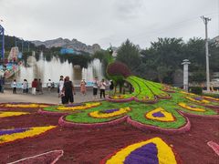 -大芦花风景区