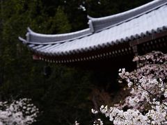 -醍醐寺
