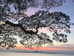 -网红落日悬崖餐厅 The Sky Gallery