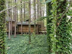 -日照海滨国家森林公园
