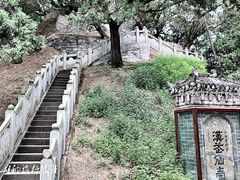 -黄帝陵