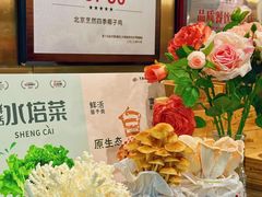 -烹然四季椰子鸡火锅(团结湖总店)