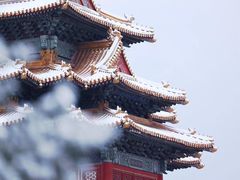 -地坛公园