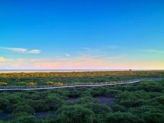 -北海金海湾红树林生态旅游区