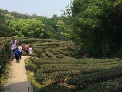 -西湖风景区十里琅珰-五云山