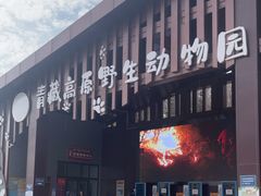 -青藏高原野生动物园