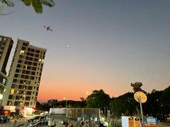 -宝安西湾红树林湿地公园