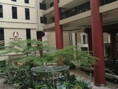 -上海波特曼丽思卡尔顿酒店