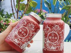 -野萃山·潮汕厚果汁(十亩地店)