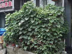 门面-宋师傅安徽板面(留学路店)