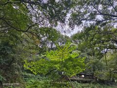 -句容茅山景区