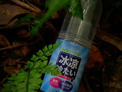 -黄公望隐居地