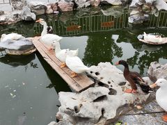 -上海电影博物馆