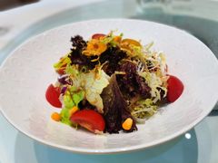 蔬菜色拉-樱苑(四川北路店)