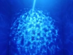 -杭州西湖星空魔幻城(星空艺术馆品牌旗舰店)