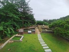-广东惠东海龟国家级自然保护区
