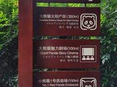 景点-成都大熊猫繁育研究基地