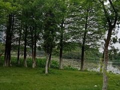 -艾溪湖湿地公园