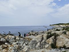-养马岛旅游度假区