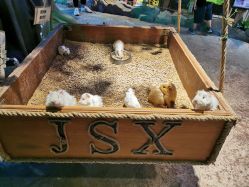 -酷嗒动物文化乐园(cutezoo西溪乐天城店)