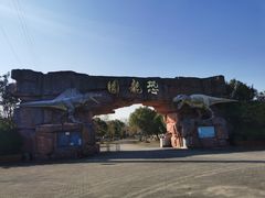 -上海海湾国家森林公园