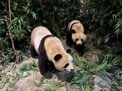 -武汉园博园(武汉自然博物馆)