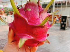 -海上花岛玫瑰园采摘