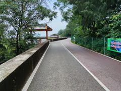 -北海金海湾红树林生态旅游区