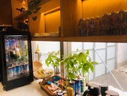 -木北造型
