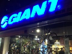 -GIANT捷安特自行车专卖店(金桥台儿庄路店)
