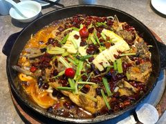 -老板恋上鱼(恒隆广场店)