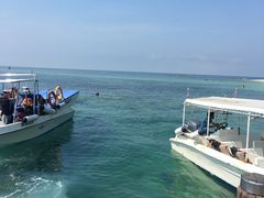 -东姑阿都拉曼海洋公园
