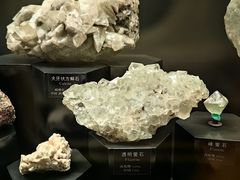 -正佳自然科学博物馆