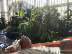 -中家鑫园温泉酒店鑫悦汤泉